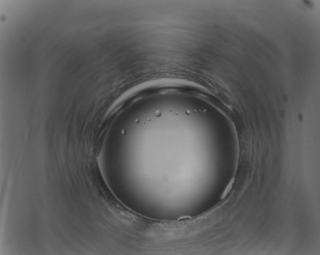 X0000073930033200608181125