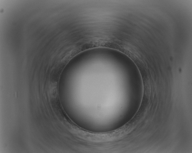 X0000073930034200608181125