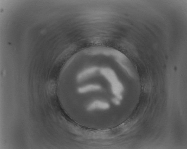 X0000073930036200608181125