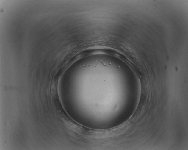 X0000073930037200608181125