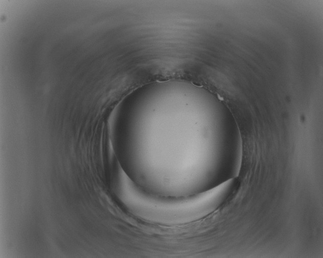 X0000073930039200608181125