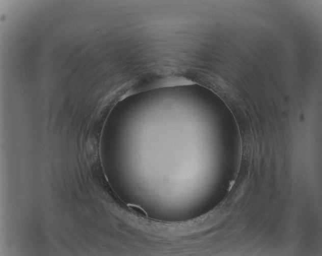 X0000073930043200608181125