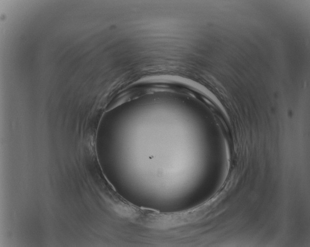 X0000073930045200608181125