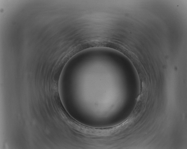 X0000073930048200608181125