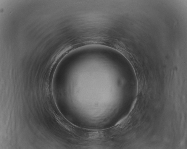 X0000073930050200608181124