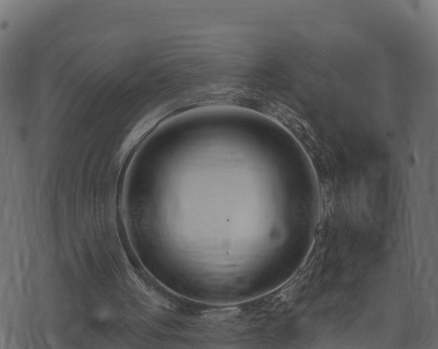 X0000073930051200608181124