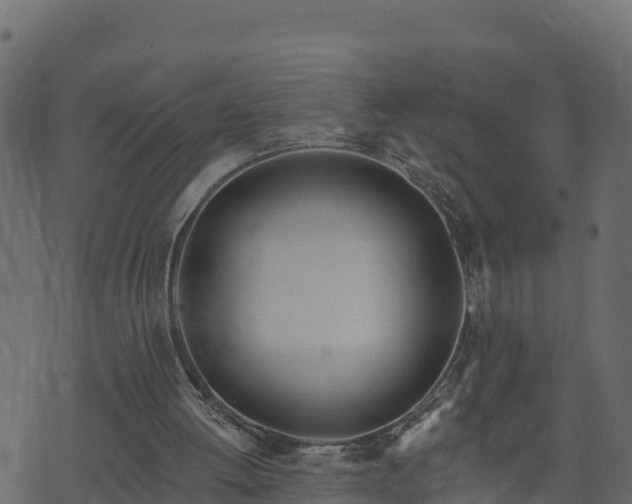 X0000073930052200608181124