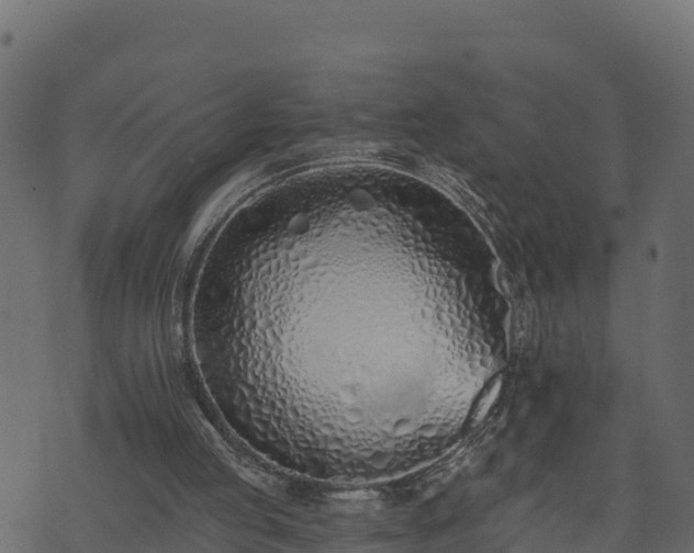 X0000073930053200608181124