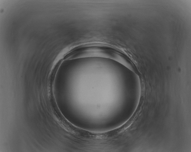 X0000073930056200608181125