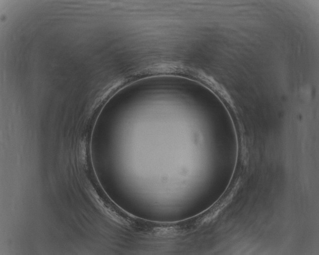 X0000073930057200608181125