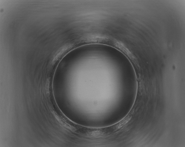 X0000073930058200608181125