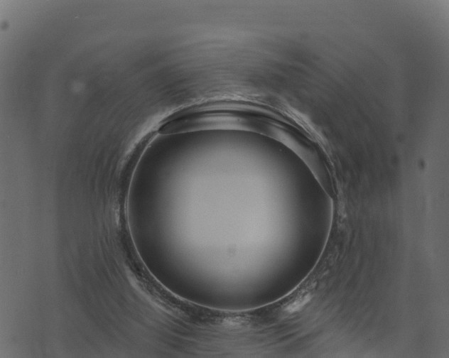 X0000073930060200608181125