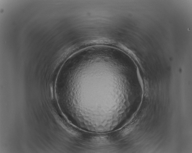 X0000073930061200608181125