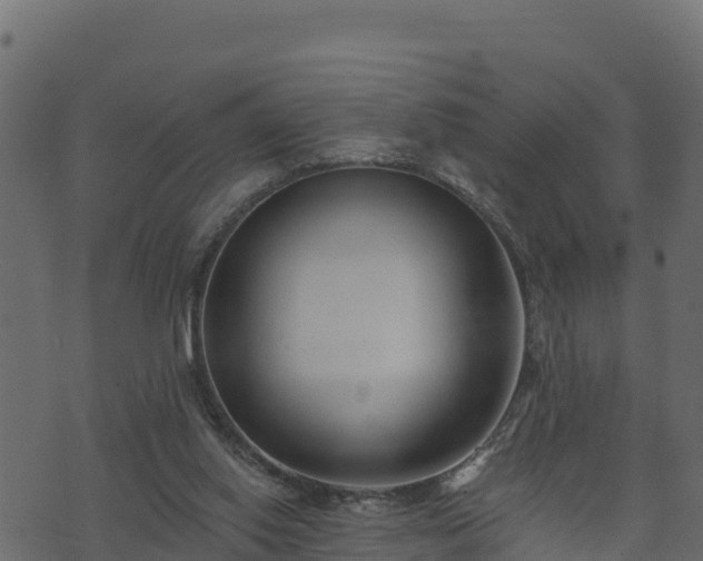 X0000073930062200608181125