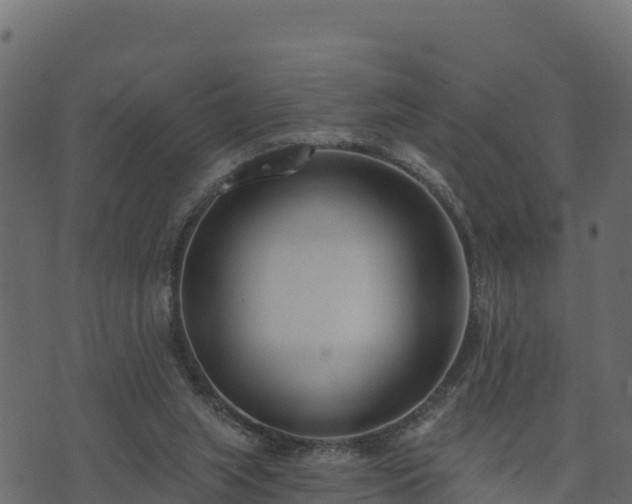 X0000073930063200608181125