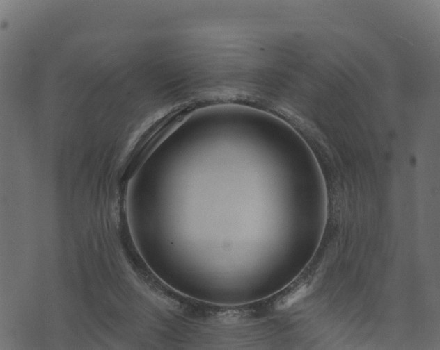 X0000073930064200608181125