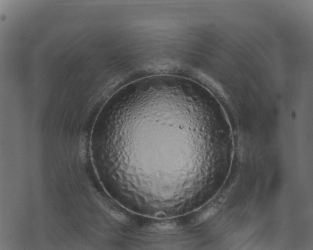 X0000073930065200608181125