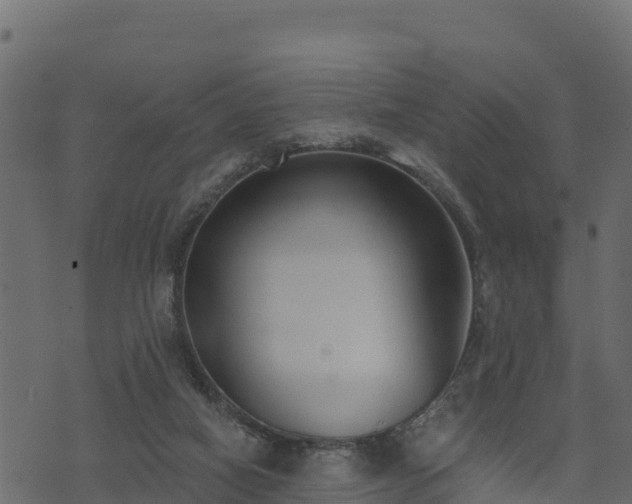 X0000073930066200608181125