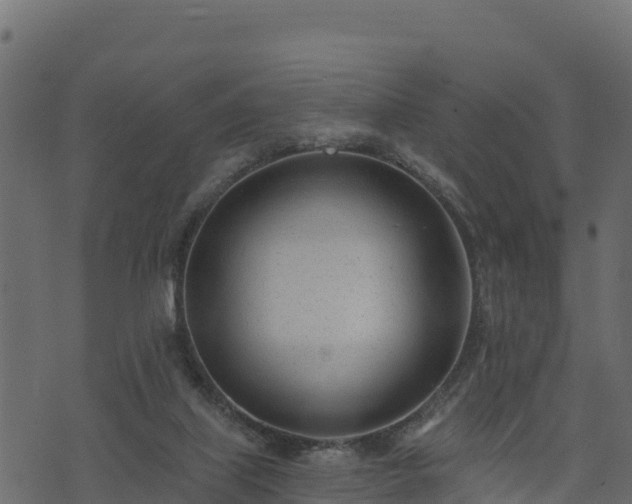 X0000073930067200608181125