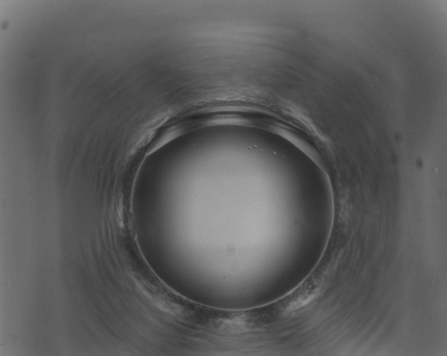 X0000073930068200608181125