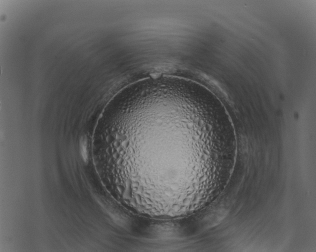 X0000073930069200608181125