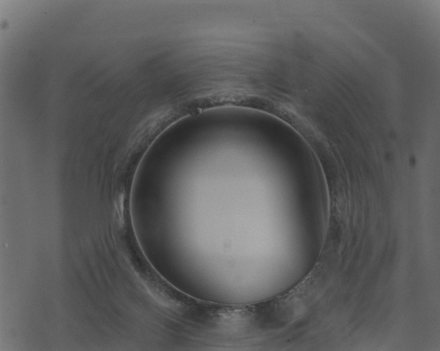 X0000073930070200608181125