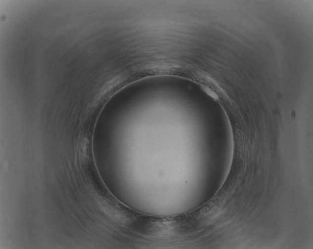 X0000073930071200608181125