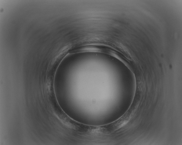 X0000073930072200608181125