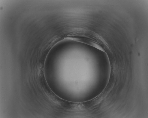 X0000073930073200608181125