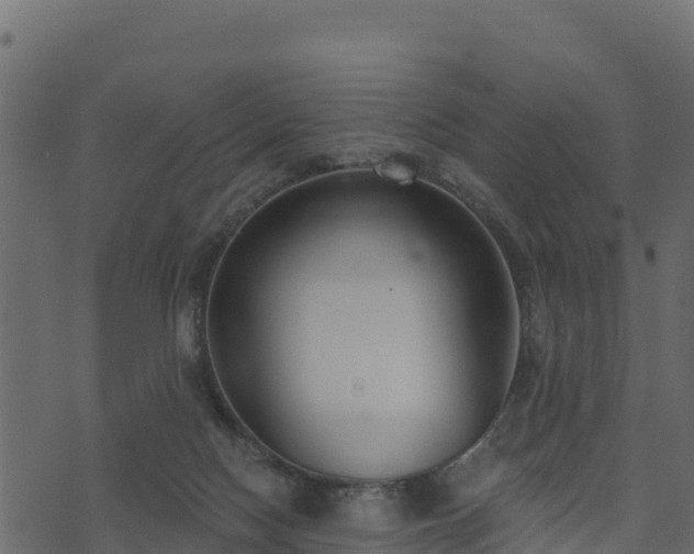 X0000073930074200608181125