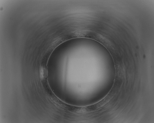 X0000073930075200608181125