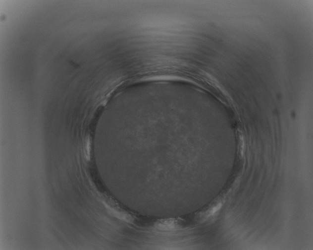 X0000073930076200608181125