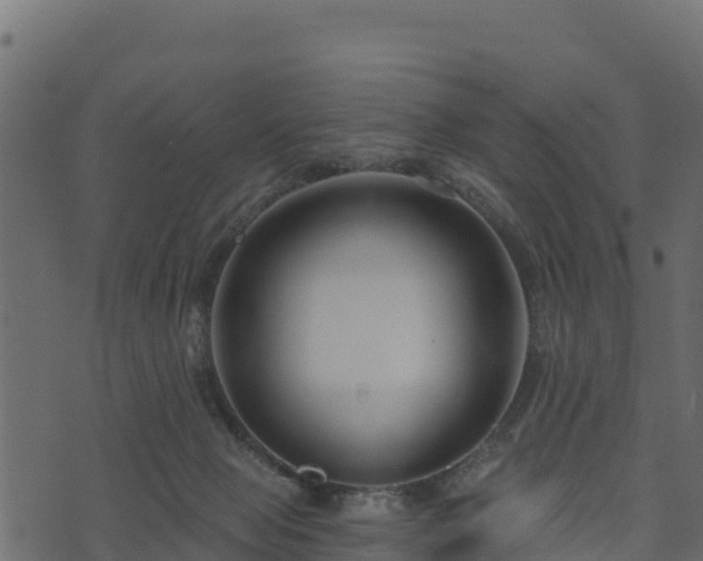 X0000073930077200608181125