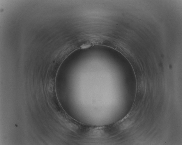 X0000073930078200608181125