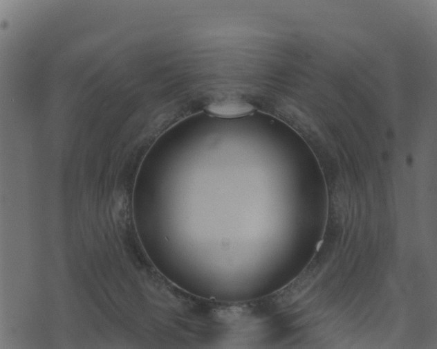 X0000073930079200608181125