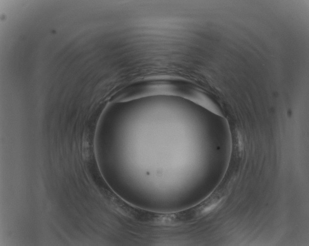 X0000073930080200608181125