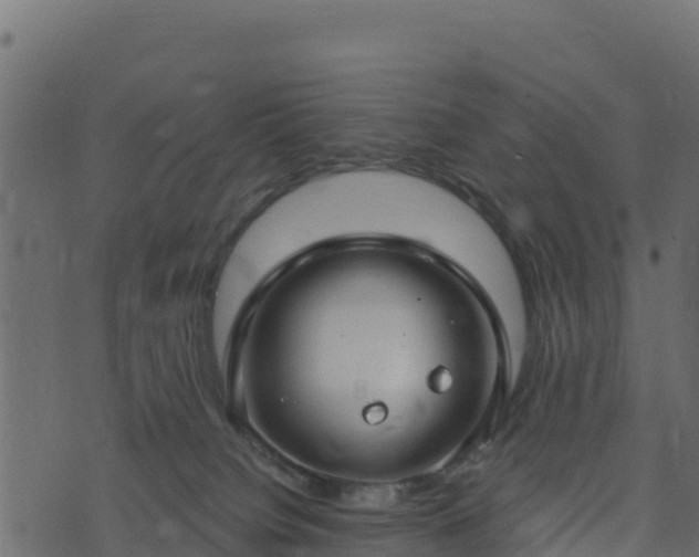 X0000073930084200608181125