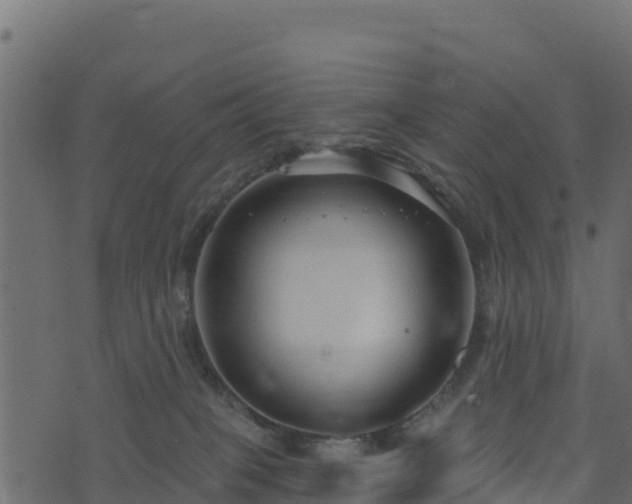 X0000073930085200608181125