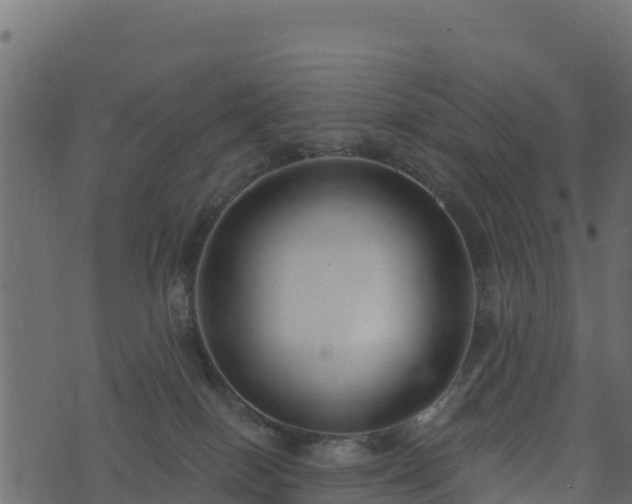 X0000073930086200608181125