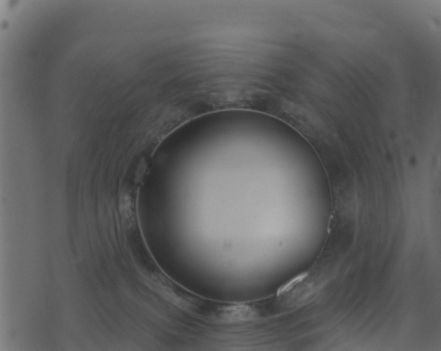 X0000073930087200608181125