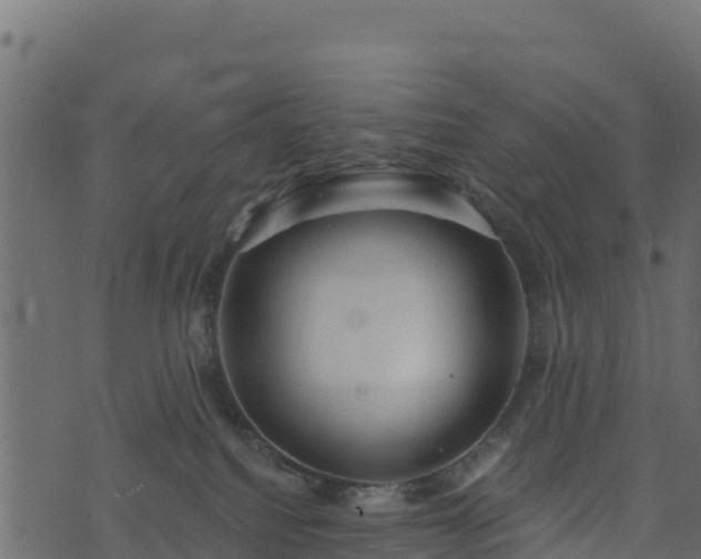 X0000073930088200608181125