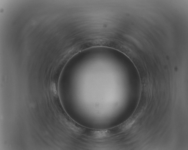 X0000073930089200608181125