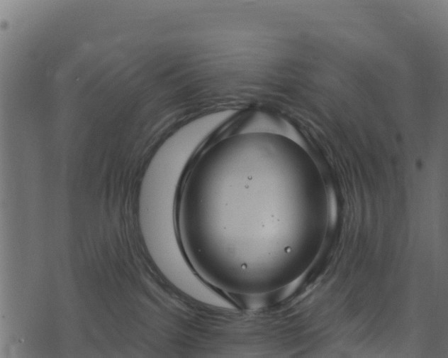 X0000073930092200608181125