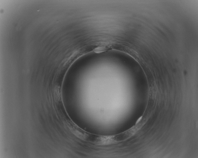 X0000073930093200608181125