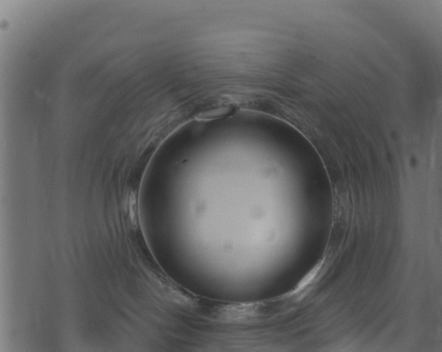 X0000073930094200608181125