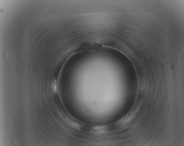 X0000073930095200608181125