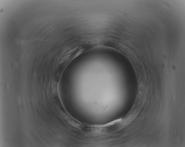 X0000073930096200608181125