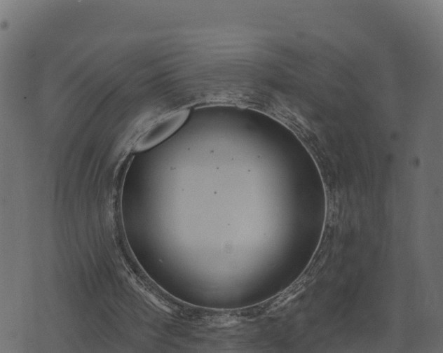 X0000073930098200608181124