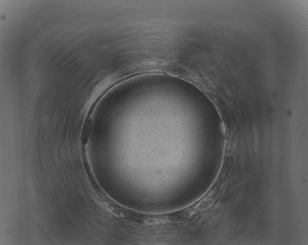 X0000073930099200608181124