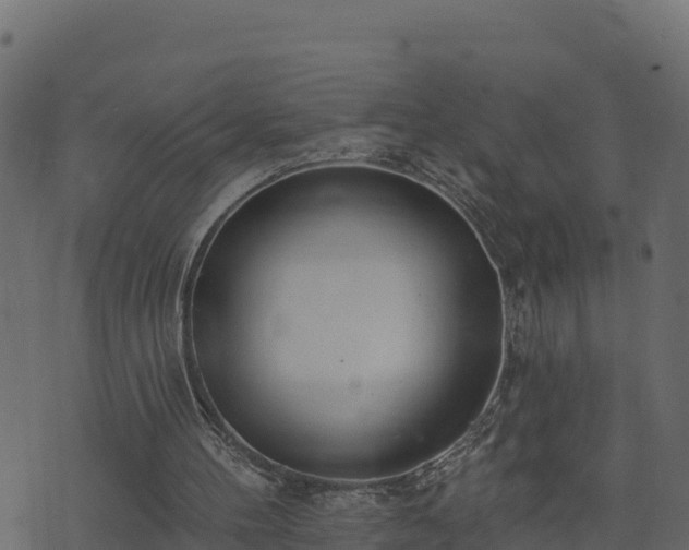 X0000073930100200608181124